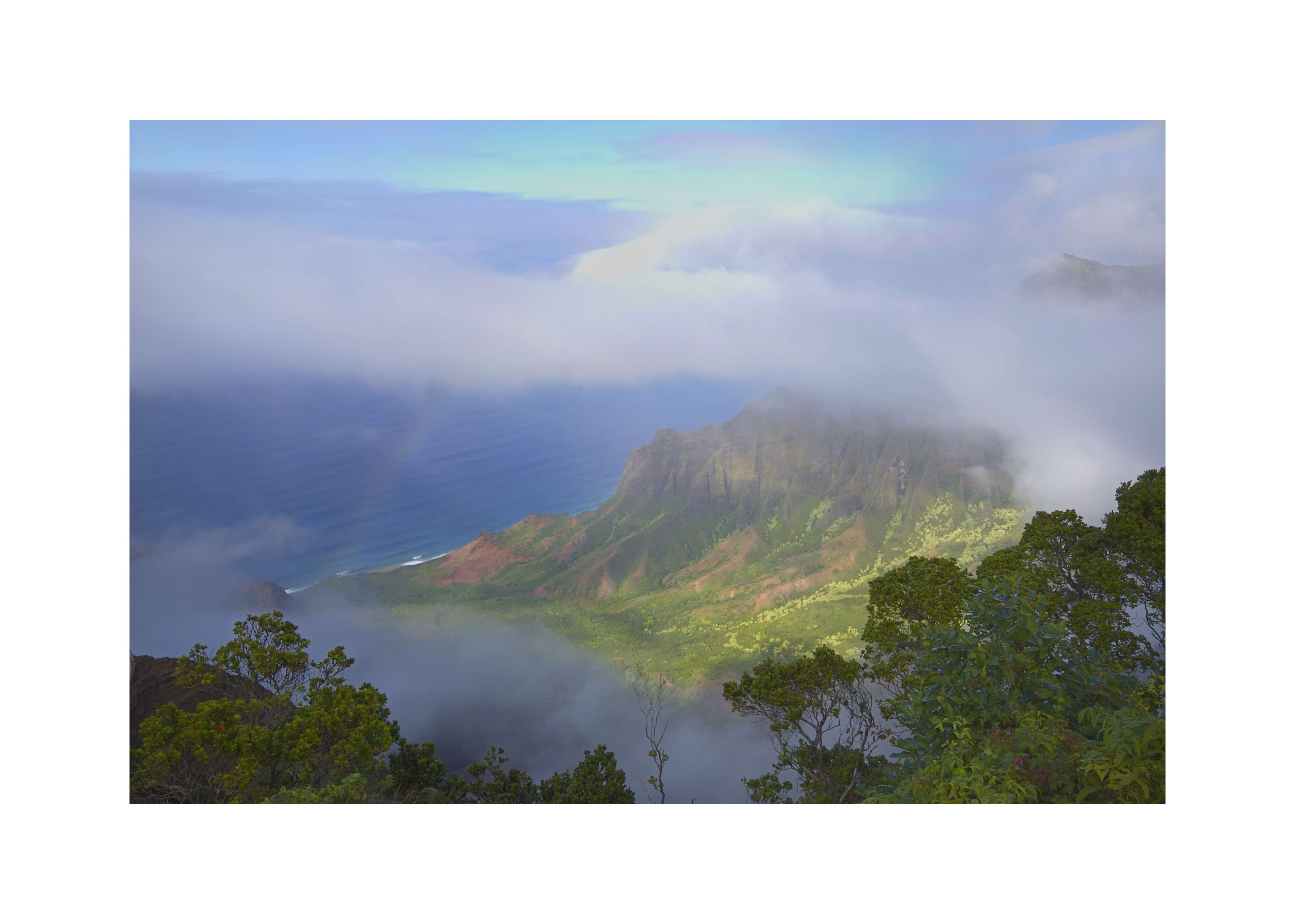 kauai3.jpg